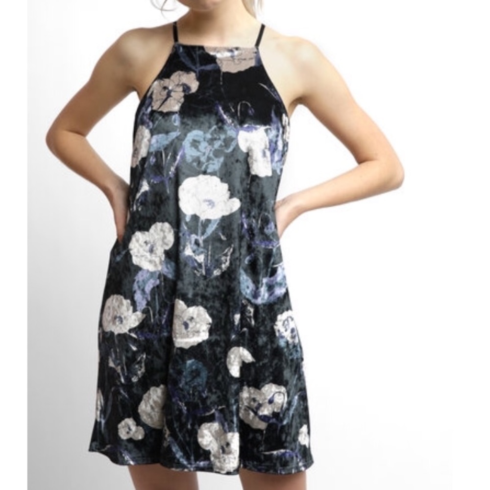 Sam & Lavi Velvet Dress - Picture 2 of 8